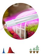 Светильники внутреннего освещения прочие LED Б0061425 Светильник для растений,