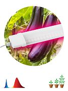 Светильники внутреннего освещения прочие LED Б0045697 Светильник для растений,