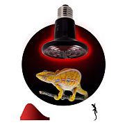 Лампы специальные Б0052716 Инфракрасная лампа ЭРА ЭРА